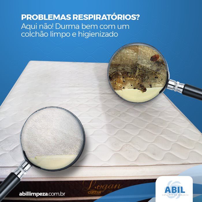 Alex Abil Limpeza portfolio 9